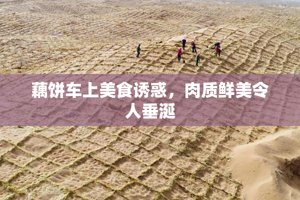 藕饼车上美食诱惑，肉质鲜美令人垂涎