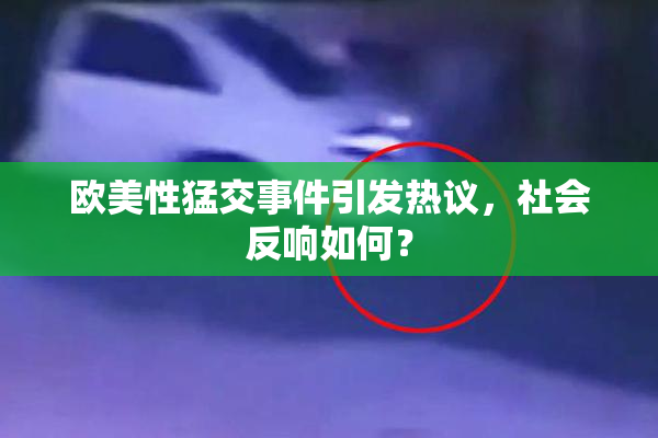 欧美性猛交事件引发热议，社会反响如何？