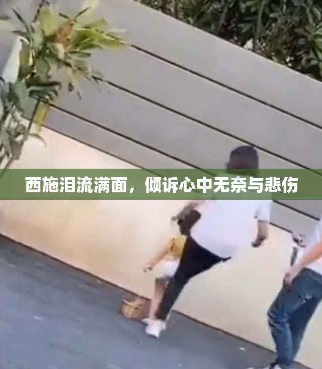 西施泪流满面，倾诉心中无奈与悲伤