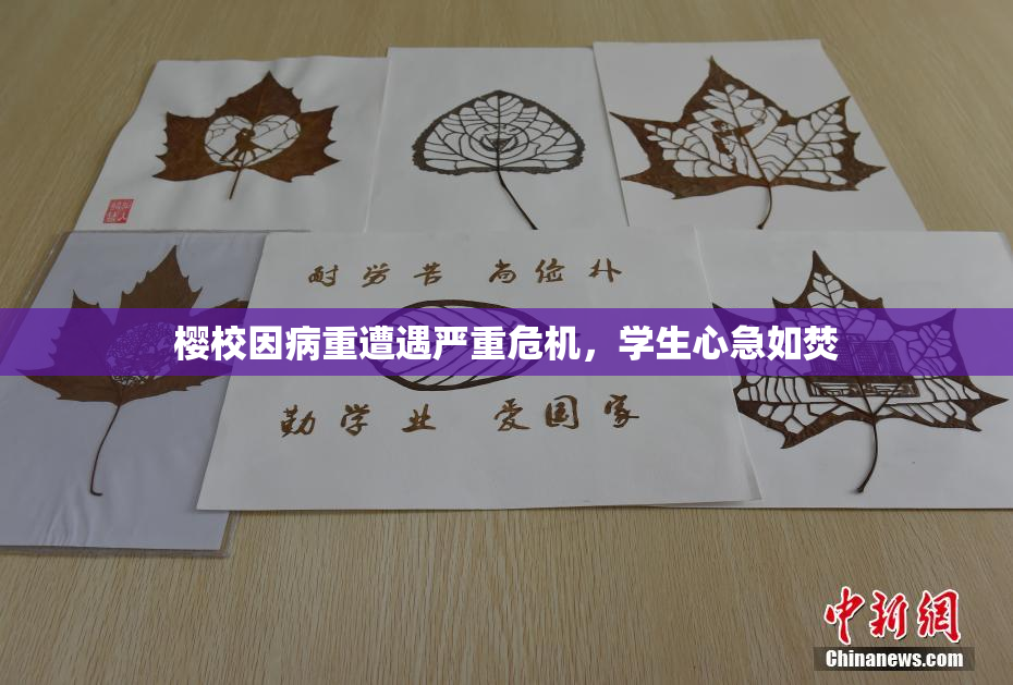 樱校因病重遭遇严重危机，学生心急如焚