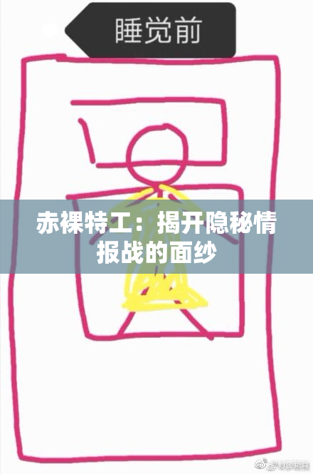赤裸特工：揭开隐秘情报战的面纱