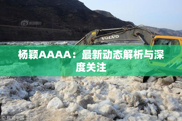 杨颖AAAA：最新动态解析与深度关注