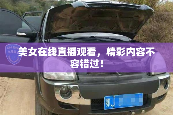 美女在线直播观看，精彩内容不容错过！