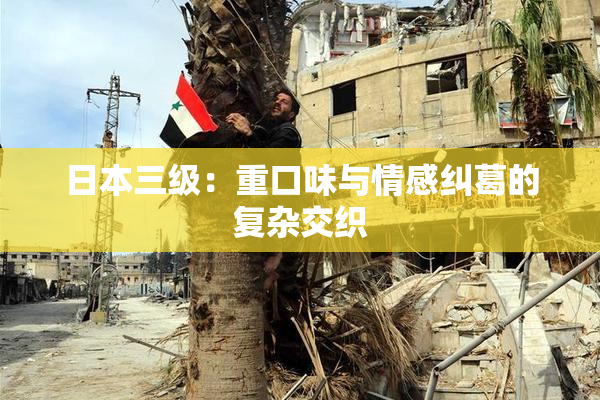 日本三级：重口味与情感纠葛的复杂交织