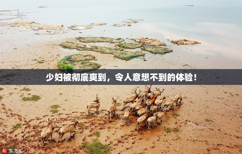少妇被彻底爽到，令人意想不到的体验！