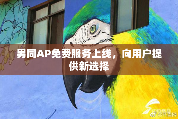 男同AP免费服务上线，向用户提供新选择