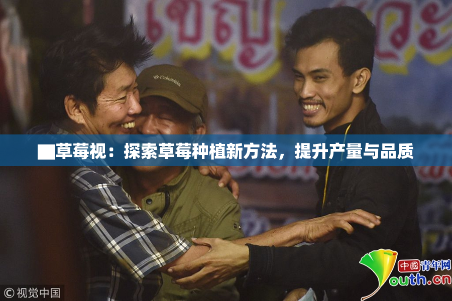▇草莓视：探索草莓种植新方法，提升产量与品质
