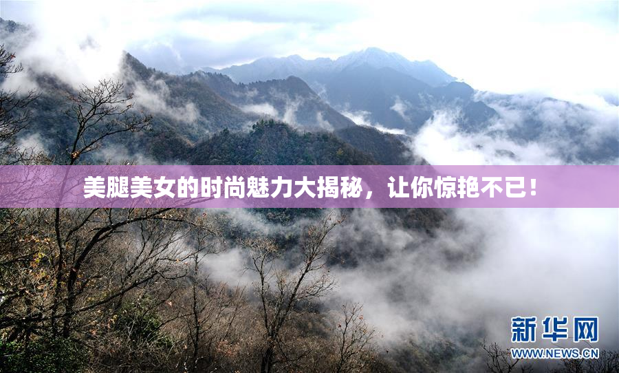 美腿美女的时尚魅力大揭秘，让你惊艳不已！