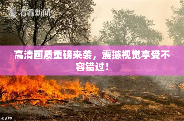 高清画质重磅来袭，震撼视觉享受不容错过！