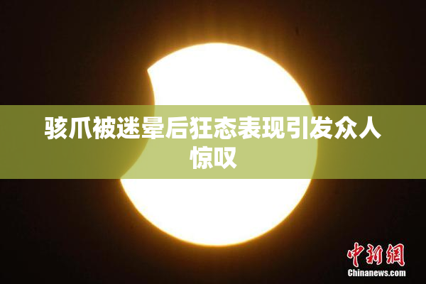 骇爪被迷晕后狂态表现引发众人惊叹