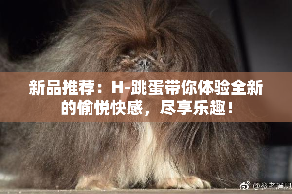 新品推荐：H-跳蛋带你体验全新的愉悦快感，尽享乐趣！