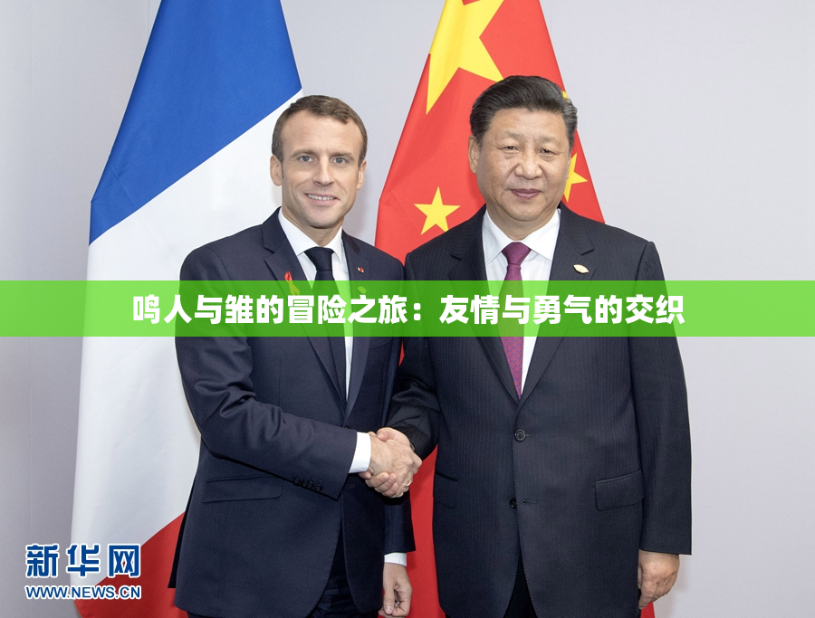 鸣人与雏的冒险之旅：友情与勇气的交织
