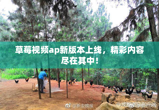 草莓视频ap新版本上线，精彩内容尽在其中！