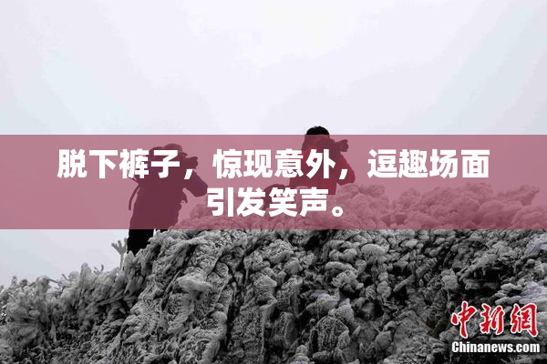 脱下裤子，惊现意外，逗趣场面引发笑声。