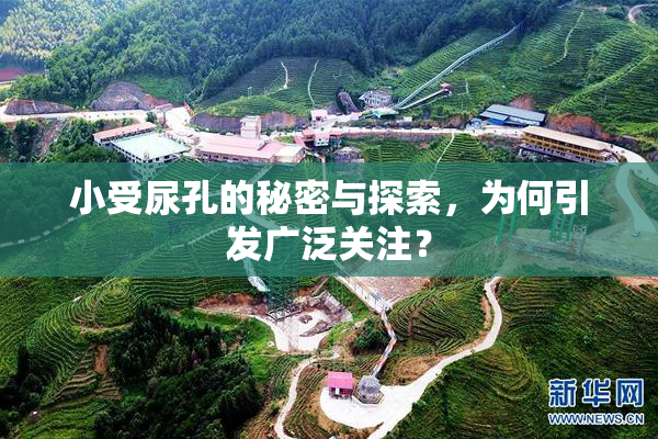 小受尿孔的秘密与探索，为何引发广泛关注？