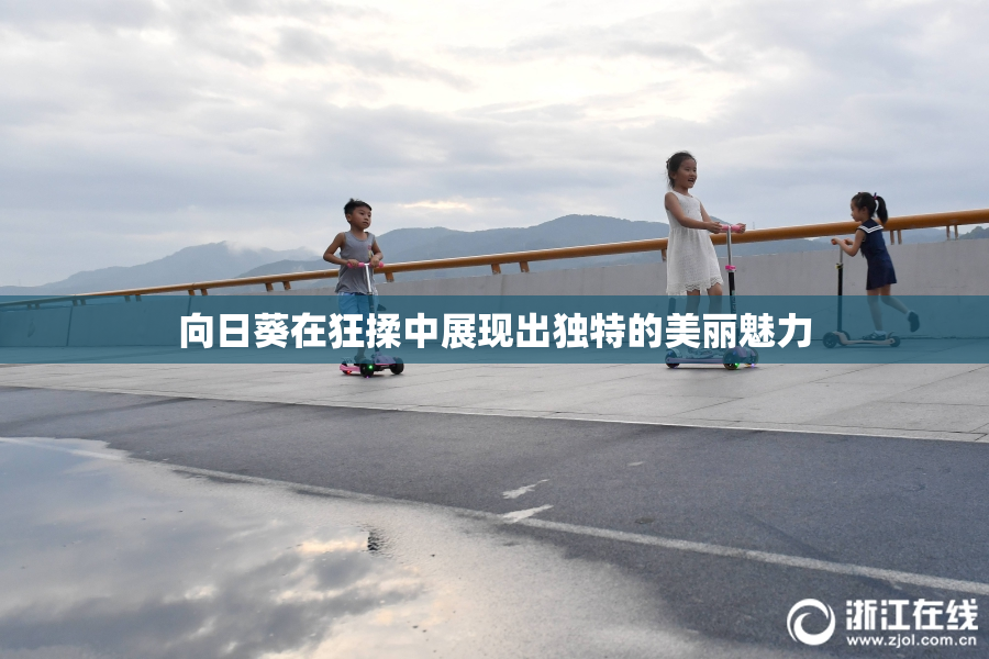 向日葵在狂揉中展现出独特的美丽魅力