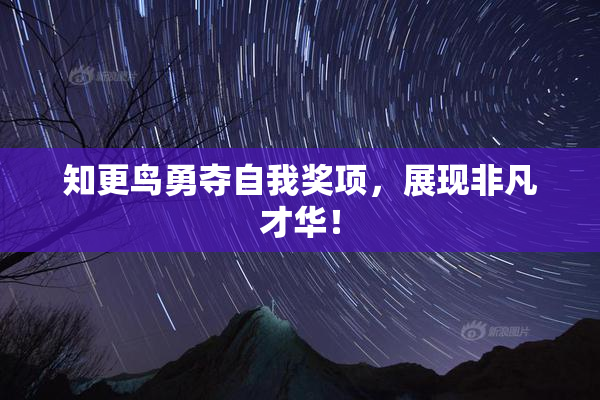 知更鸟勇夺自我奖项，展现非凡才华！