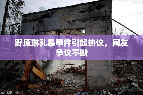 野原琳乳暴事件引起热议，网友争议不断
