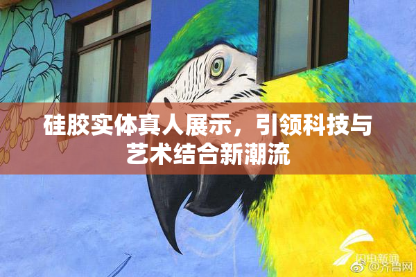 硅胶实体真人展示，引领科技与艺术结合新潮流