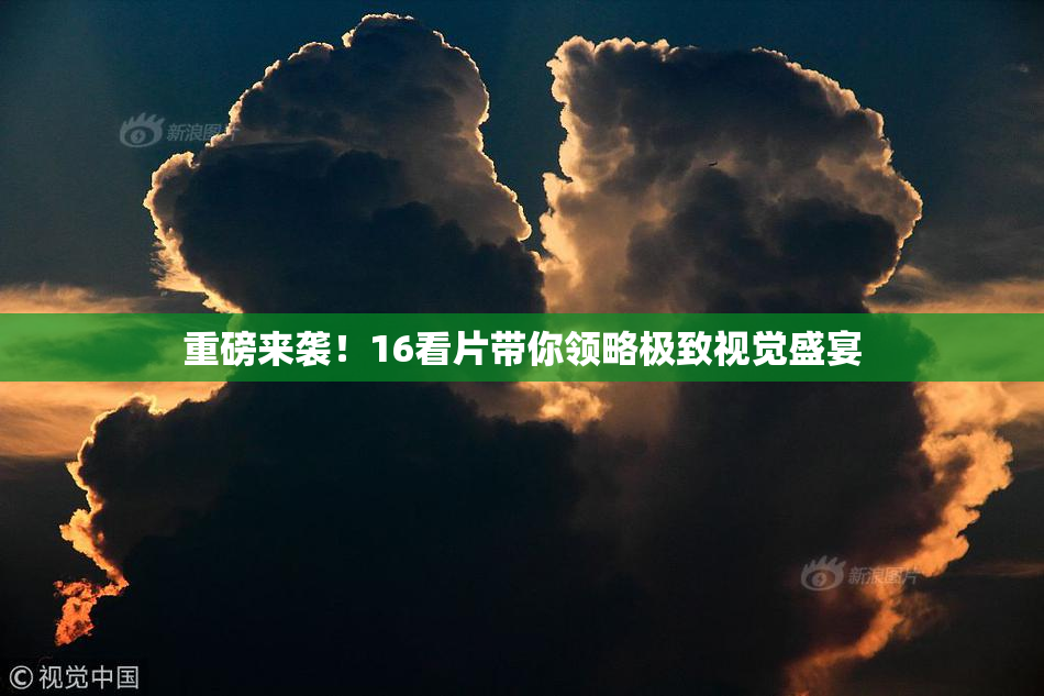 重磅来袭！16看片带你领略极致视觉盛宴