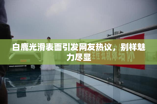白鹿光滑表面引发网友热议，别样魅力尽显