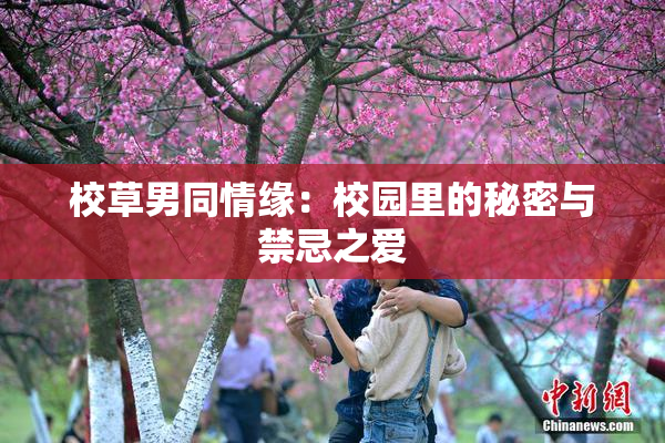 校草男同情缘：校园里的秘密与禁忌之爱