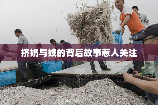 挤奶与妓的背后故事惹人关注