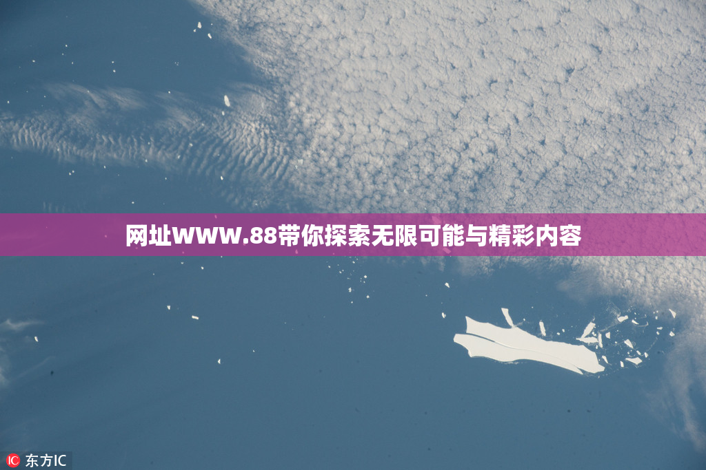 网址WWW.88带你探索无限可能与精彩内容