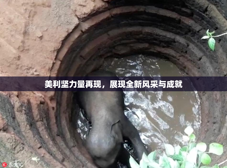 美利坚力量再现，展现全新风采与成就