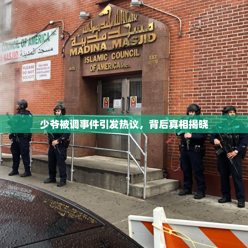 少爷被调事件引发热议，背后真相揭晓