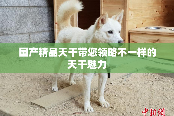国产精品天干带您领略不一样的天干魅力