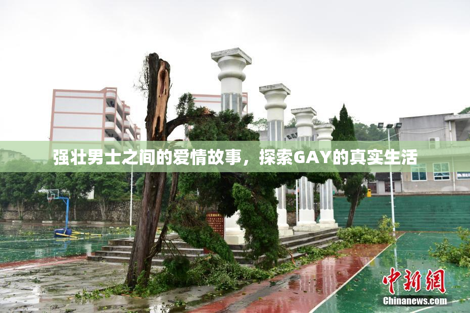 强壮男士之间的爱情故事，探索GAY的真实生活