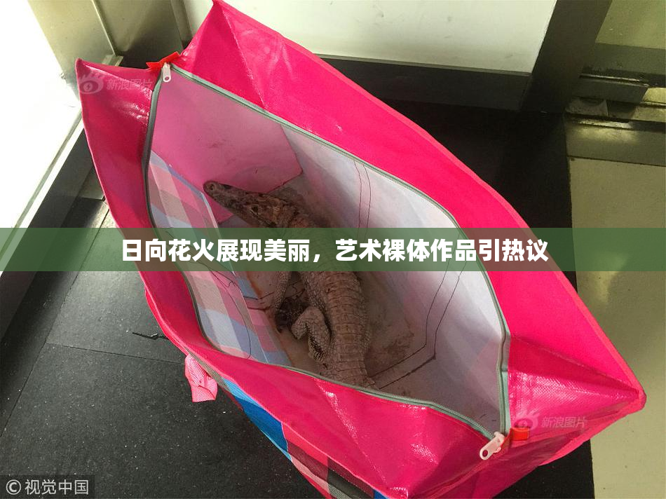 日向花火展现美丽，艺术裸体作品引热议