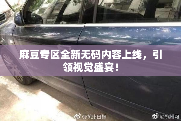 麻豆专区全新无码内容上线，引领视觉盛宴！