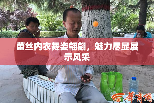 蕾丝内衣舞姿翩翩，魅力尽显展示风采