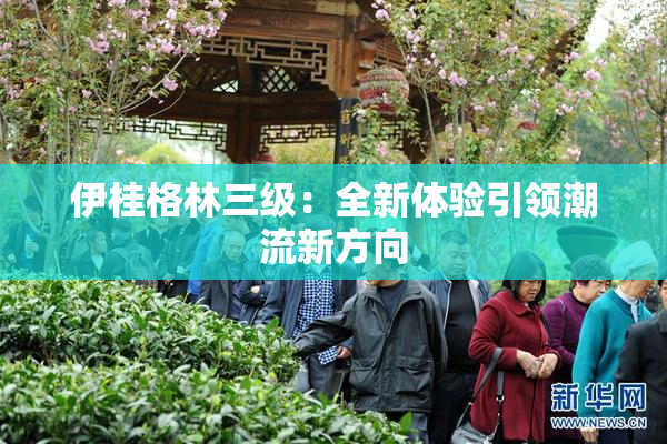 伊桂格林三级：全新体验引领潮流新方向