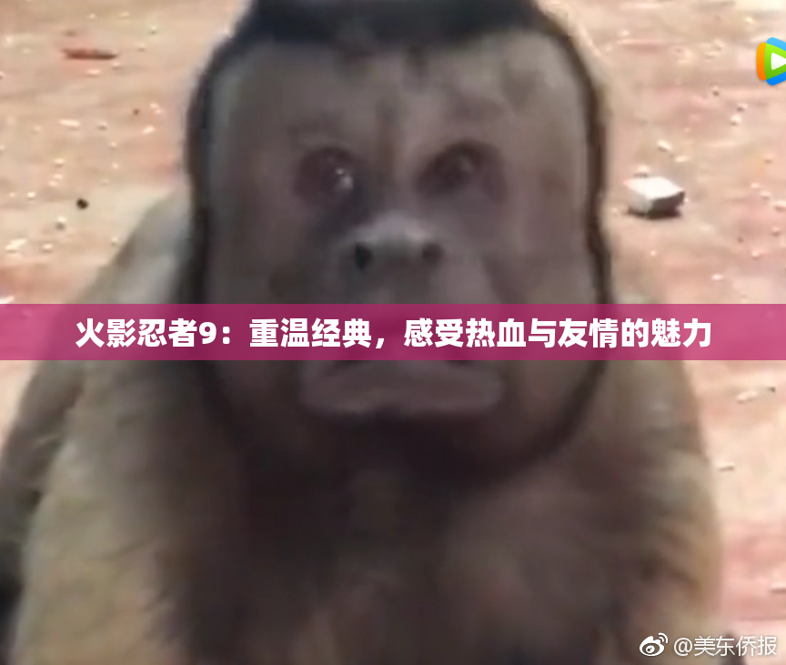 火影忍者9：重温经典，感受热血与友情的魅力