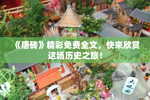 《唐砖》精彩免费全文，快来欣赏这场历史之旅！