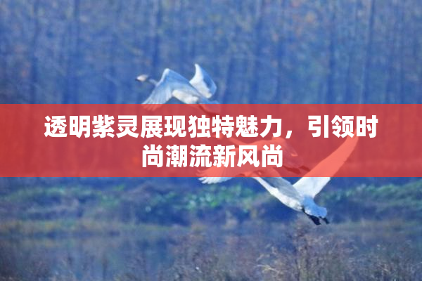 透明紫灵展现独特魅力，引领时尚潮流新风尚