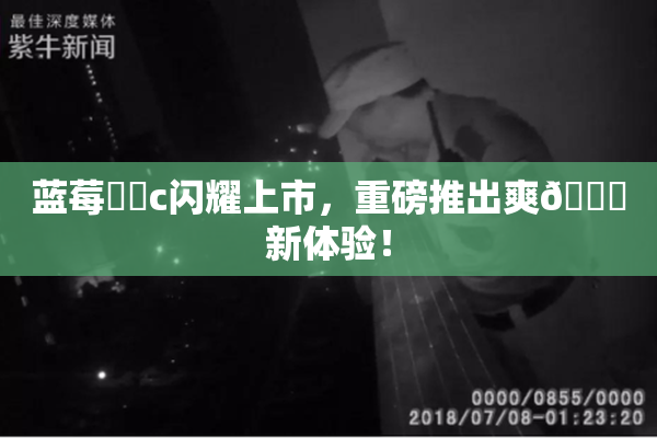 蓝莓❌‌c闪耀上市，重磅推出爽🔞新体验！
