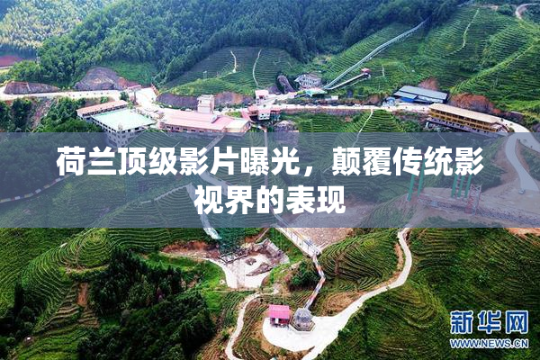 荷兰顶级影片曝光，颠覆传统影视界的表现