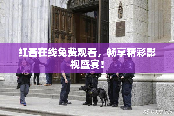 红杏在线免费观看，畅享精彩影视盛宴！