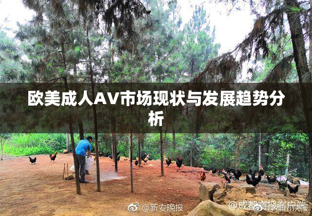 欧美成人AV市场现状与发展趋势分析