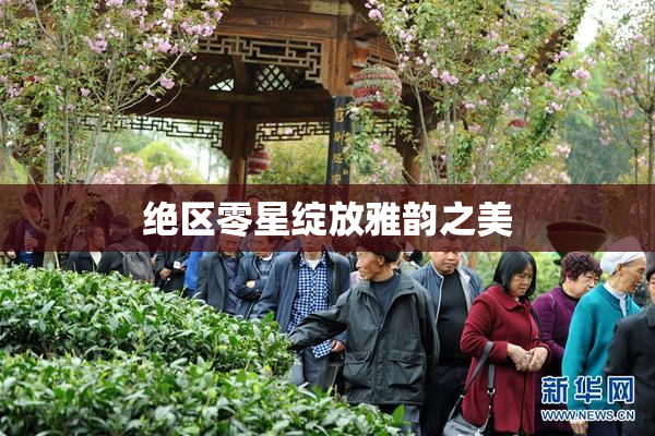 绝区零星绽放雅韵之美