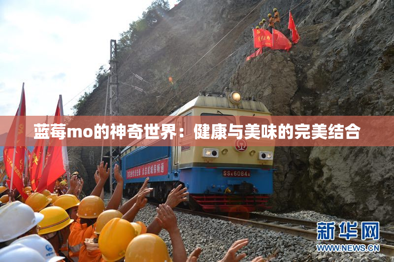 蓝莓mo的神奇世界：健康与美味的完美结合
