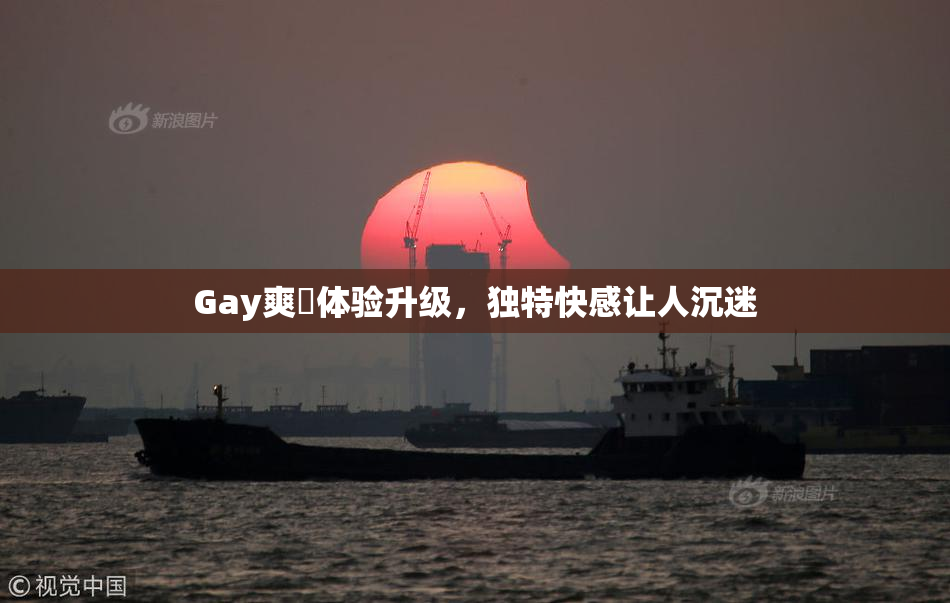 Gay爽擼体验升级，独特快感让人沉迷