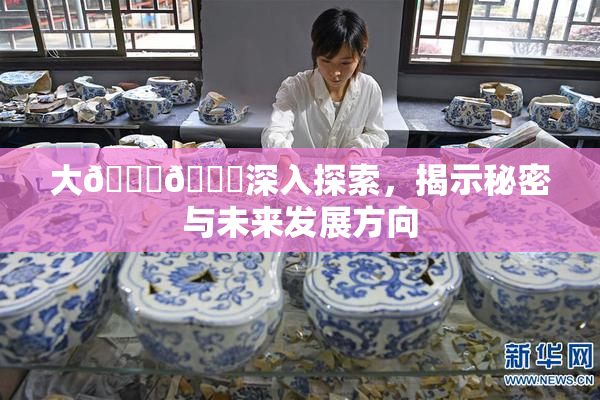 大🐔🐔深入探索，揭示秘密与未来发展方向