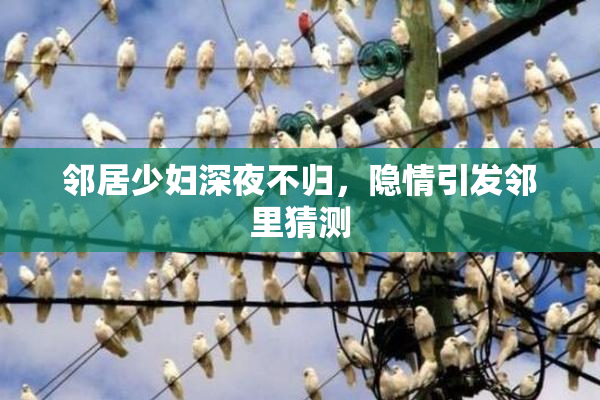 邻居少妇深夜不归，隐情引发邻里猜测