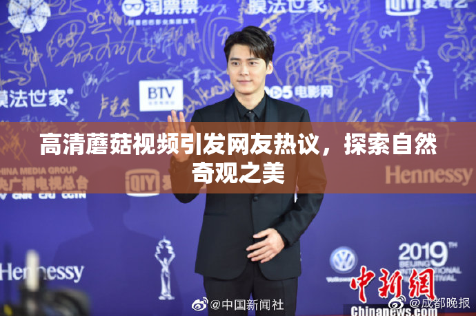 高清蘑菇视频引发网友热议，探索自然奇观之美