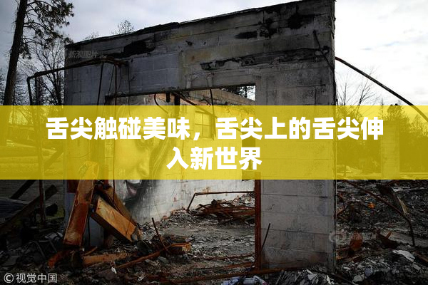 舌尖触碰美味，舌尖上的舌尖伸入新世界